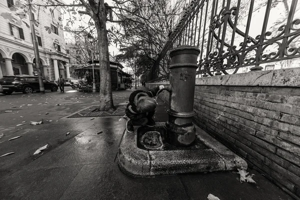 Un niño de cinco años camina por el parque. Niño en el parque con palmeras —  Fotos de Stock