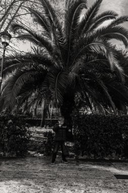 Parkta beş yürüyen bir çocuk. Çocuk Park palmiye ağaçları ile