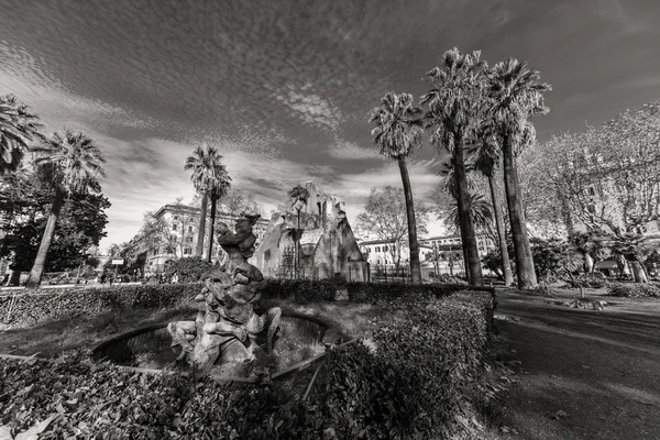 Un niño de cinco años camina por el parque. Niño en el parque con palmeras —  Fotos de Stock