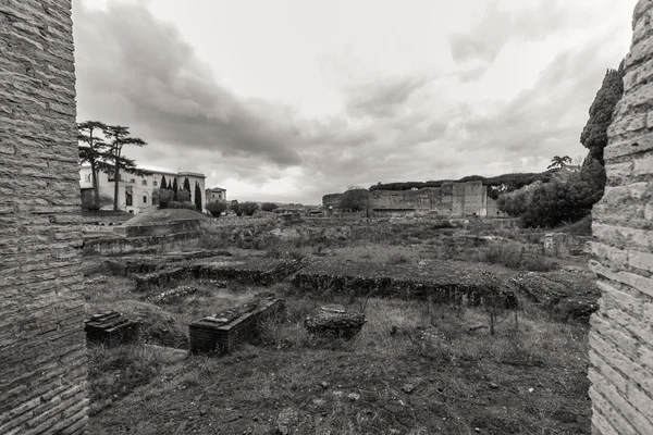 ROMA - 13 gennaio: Veduta del Foro Romano il 13 gennaio 2016 a Roma . — Foto Stock