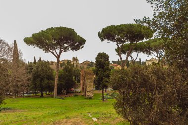 Roma - 13 Ocak: Roma Forumu Roma, İtalya görünümü üzerinde 13 Ocak 2016.
