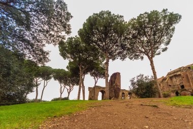 Roma - 13 Ocak: Roma Forumu Roma, İtalya görünümü üzerinde 13 Ocak 2016.