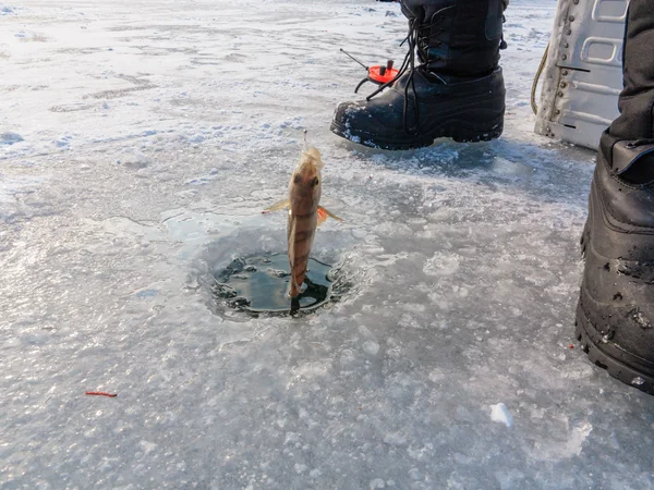 Hermoso paisaje de invierno en el río. Río en hielo. Pesca de invierno — Foto de Stock