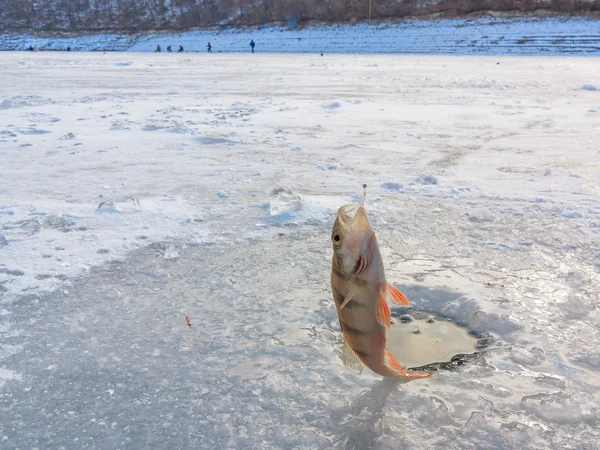 Прекрасный зимний пейзаж на реке. Река во льду. Зимний лов — стоковое фото