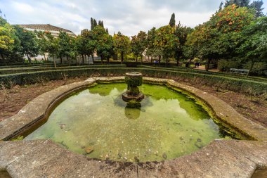 Roma - 09 Ocak: Güzel Antik Roma Çeşmesi 09 Ocak 2016 Roma, Italy.Rome, İtalya.