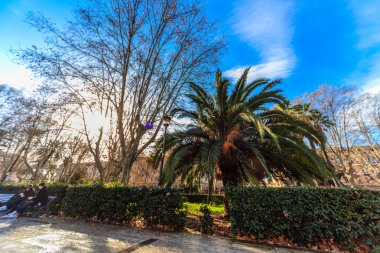 Roma - 09 Ocak: Güzel Park Roma 09 Ocak 2016 Roma, Italy.Rome, İtalya.