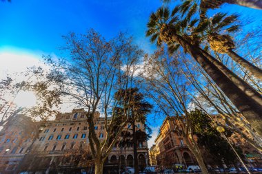 Roma - 09 Ocak: Güzel Park Roma 09 Ocak 2016 Roma, Italy.Rome, İtalya.