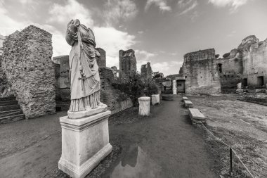 Roma - 13 Ocak: Roma forumdan bir bakış. Roma'da 13 Ocak 2016 yılında Roma, Italya'arch..