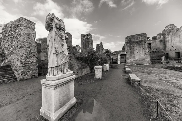 Roma - 13 Ocak: Roma forumdan bir bakış. Roma'da 13 Ocak 2016 yılında Roma, Italya'arch..