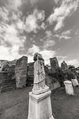 Roma - 13 Ocak: Roma forumdan bir bakış. Roma'da 13 Ocak 2016 yılında Roma, Italya'arch..