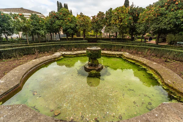 Roma - 09 Ocak: Güzel Antik Roma Çeşmesi 09 Ocak 2016 Roma, Italy.Rome, İtalya.