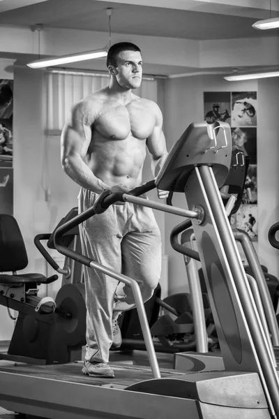Un om puternic. Antrenament muscular în sala de sport. Antrenament în sala de sport . — Fotografie, imagine de stoc