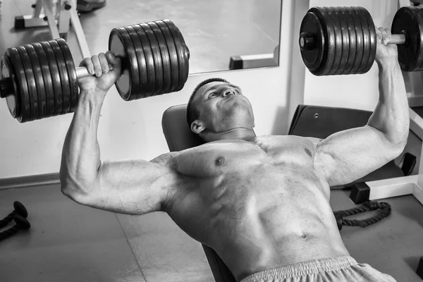 Güçlü adam. Spor kas eğitim. Spor eğitim.