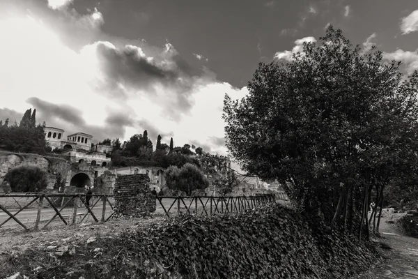 ROMA - 13 de enero: Vista del Foro Romano desde Arco en Roma el 13 de enero de 2016 en Roma, Italia . —  Fotos de Stock