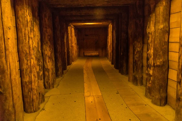 Wieliczka, POLAND - SEPTEMBER 15: The salt mine in Wieliczka on September 22, 2015 — Stock Photo, Image