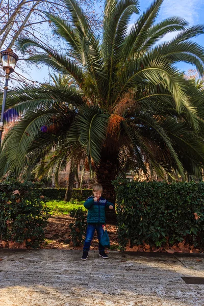Un niño de cinco años camina por el parque. Niño en el parque con palmeras —  Fotos de Stock