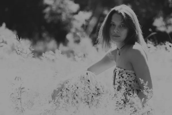 Mujer morena joven en un vestido blanco. Una chica está parada en medio del campo de flores rosadas en un día soleado. Campo, flores belleza, naturaleza, - El concepto de vacaciones en el campo. Artículo sobre vacaciones . — Foto de Stock