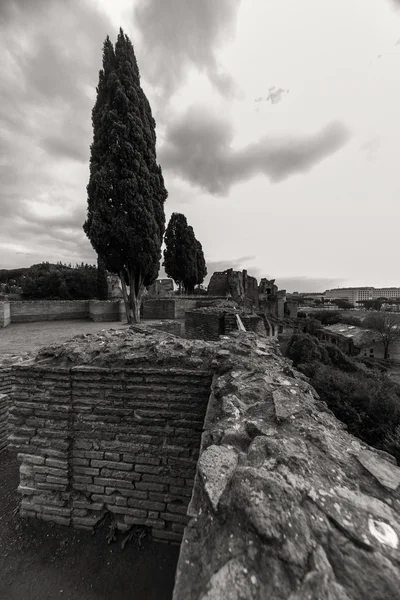 Rome - 13 januari: Uitzicht op het Forum Romanum op 13 januari 2016 in Rome, Italië. — Stockfoto