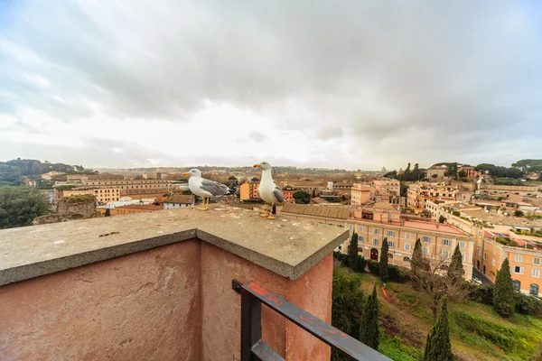 ROME - 13 janvier : Vue du Forum Romain du 13 janvier 2016 à Rome, Italie . — Photo