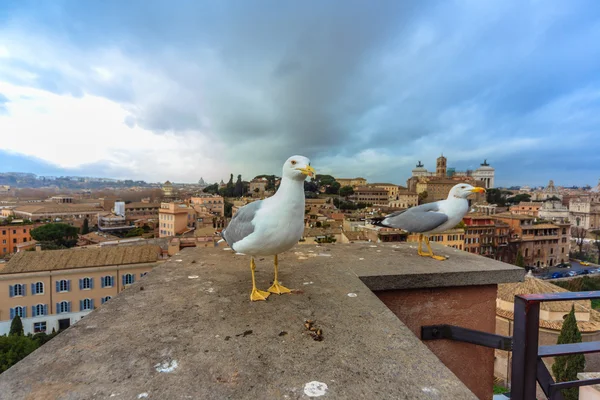 ROME - 13 janvier : Vue du Forum Romain du 13 janvier 2016 à Rome, Italie . — Photo