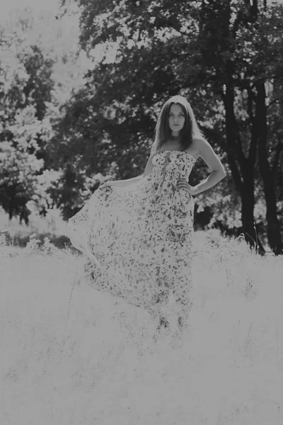 Μελαχρινή νεαρή γυναίκα σε ένα λευκό φόρεμα. Ένα κορίτσι στέκεται στη μέση του πεδίου ροζ λουλούδια σε μια ηλιόλουστη ημέρα. Πεδίο, ανθίζει το ομορφιά, φύση, - η έννοια της χώρας διακοπές. Άρθρο για διακοπές. — Φωτογραφία Αρχείου