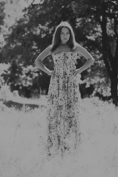 Jeune femme brune en robe blanche. Une fille se tient au milieu du champ de fleurs roses par une journée ensoleillée. Champ, fleurs beauté, nature, - Le concept de vacances à la campagne. Article sur les vacances . — Photo