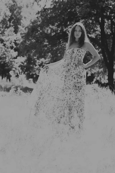 Mulher morena jovem em um vestido branco. Uma menina fica no meio do campo de flores cor-de-rosa em um dia ensolarado. Campo, flores beleza, natureza, - O conceito de férias no campo. Artigo sobre férias . — Fotografia de Stock