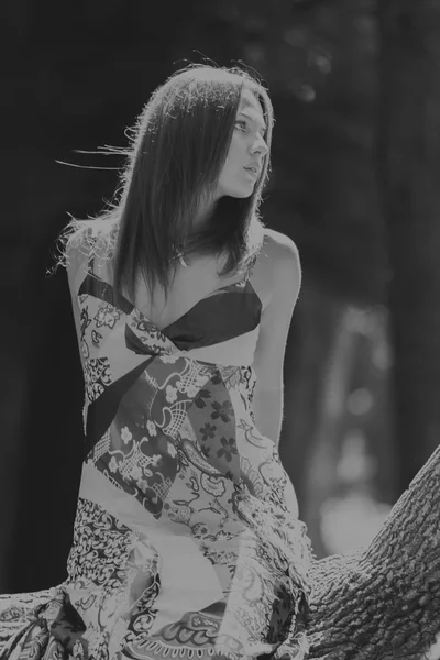 Mujer morena joven en un vestido blanco. Una chica está parada en medio del campo de flores rosadas en un día soleado. Campo, flores belleza, naturaleza, - El concepto de vacaciones en el campo. Artículo sobre vacaciones . —  Fotos de Stock