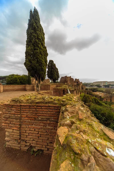 Rome - 13 januari: Uitzicht op het Forum Romanum van een hoogte op 13 januari 2016 in Rome, Italië. — Stockfoto