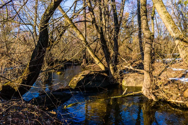 Krásná Zimní krajina, půda je pokryta ledem — Stock fotografie