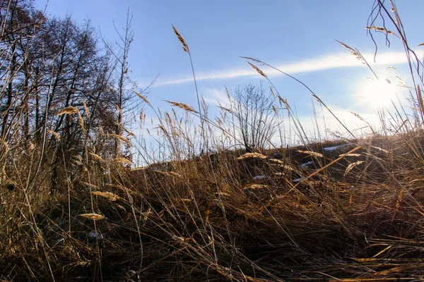 Unglaubliche Winterlandschaft. schöne Natur. — Stockfoto