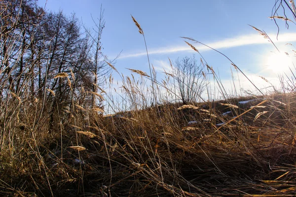 Paisagem de inverno incrível. Bela natureza . — Fotografia de Stock