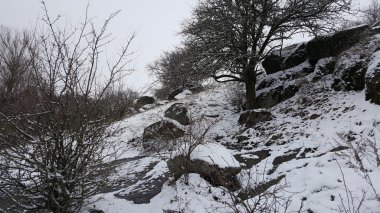 Güzel kış manzara, arazi buzla kaplıdır