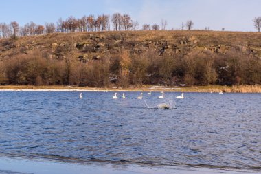 İnanılmaz kış manzarası. Güzel doğa.