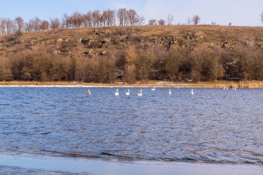 İnanılmaz kış manzarası. Güzel doğa.