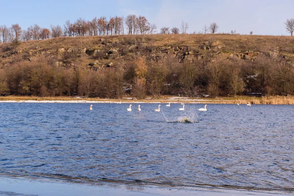İnanılmaz kış manzarası. Güzel doğa.
