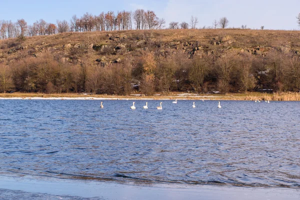 İnanılmaz kış manzarası. Güzel doğa.