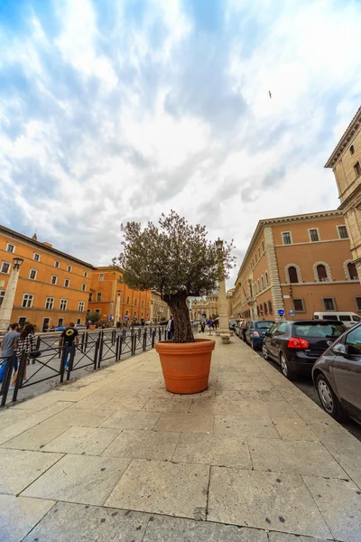 ROMA - 12 de enero: Hermosa y majestuosa Roma. 12 de enero de 2016 en Roma, Italia . —  Fotos de Stock