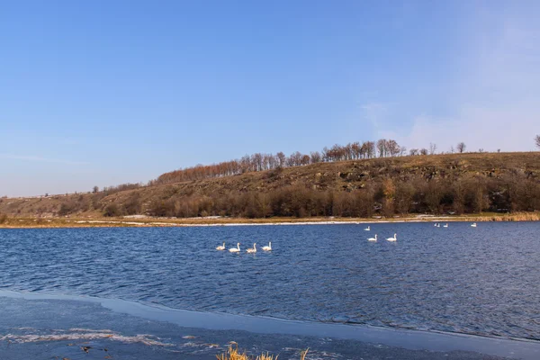 Increíble paisaje invernal. Hermosa naturaleza . —  Fotos de Stock