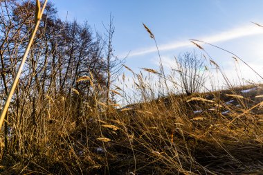 güzel kış gündoğumu Nehri üzerinde