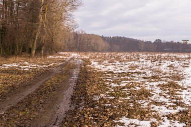 İnanılmaz kış manzarası. Güzel doğa.