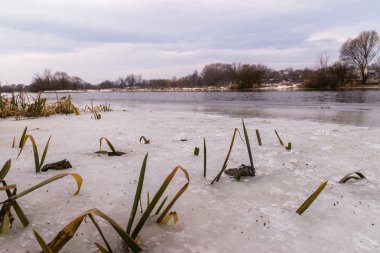 Güzel kış manzara, arazi buzla kaplıdır