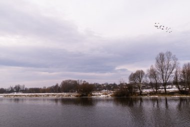 Güzel kış manzara, arazi buzla kaplıdır