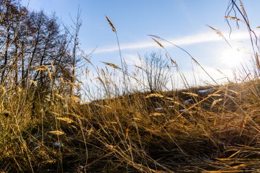 güzel kış gündoğumu Nehri üzerinde