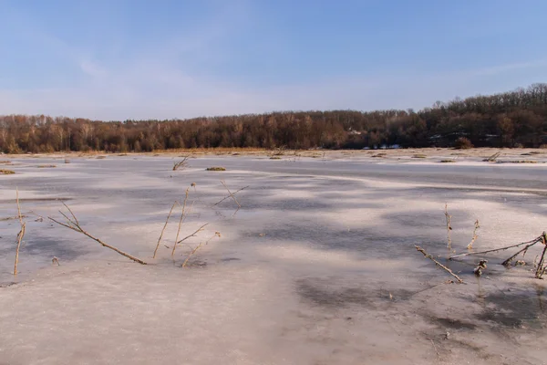 Güzel kış manzara, arazi buzla kaplıdır