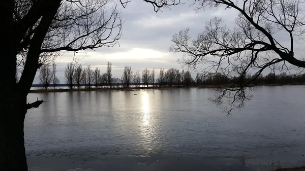 Krásná Zimní krajina, půda je pokryta ledem — Stock fotografie