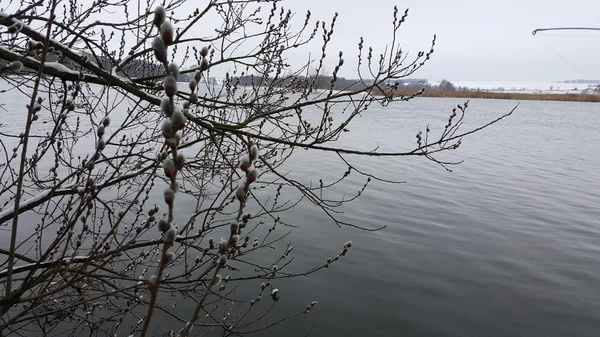 Bellissimo paesaggio invernale, la terra è coperta di ghiaccio — Foto Stock