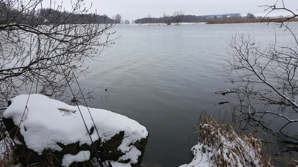 Güzel kış manzara, arazi buzla kaplıdır