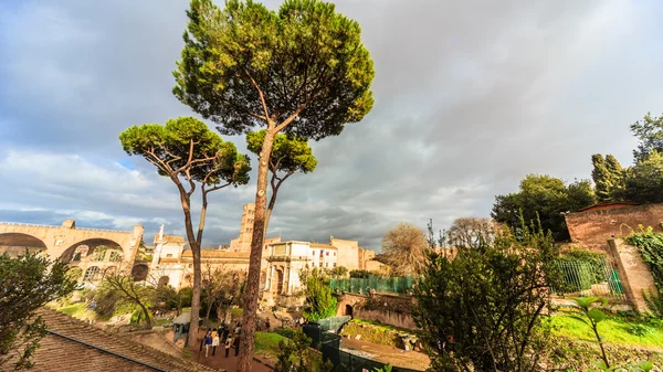Roma - 13 Ocak: Roma Forumu Roma, İtalya görünümü üzerinde 13 Ocak 2016.