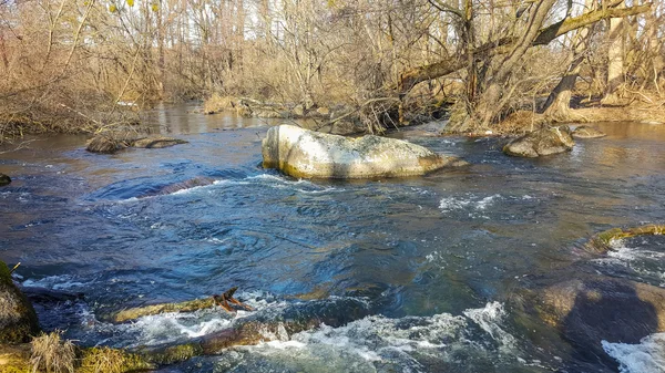 Güzel kış manzara, arazi buzla kaplıdır